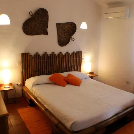 Orchidea * 维拉西米乌斯