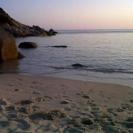 Orchidea Holiday home *