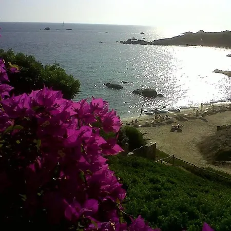 Casa vacanze Orchidea *