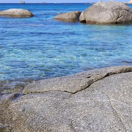 Orchidea * ヴィッラシミーウス