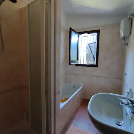 Orchidea ヴィッラシミーウス