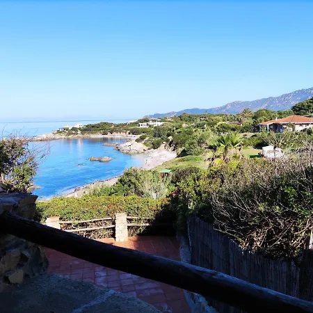 Orchidea Вилласимиус