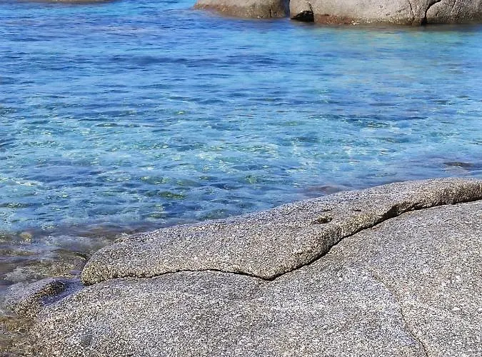 Orchidea * Вилласимиус