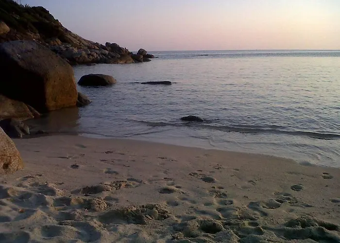 Orchidea Дом отдыха *