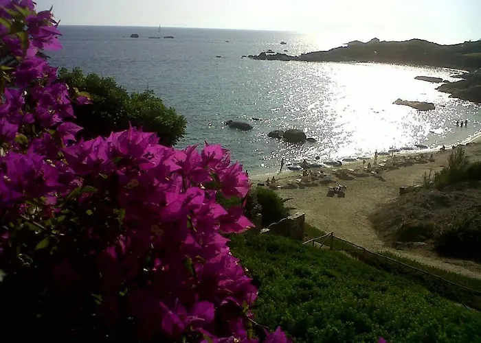 Дом отдыха Orchidea *