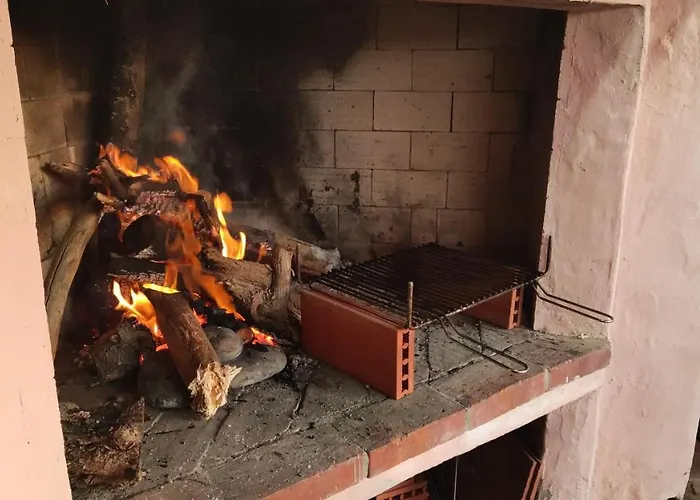 Orchidea Вилласимиус