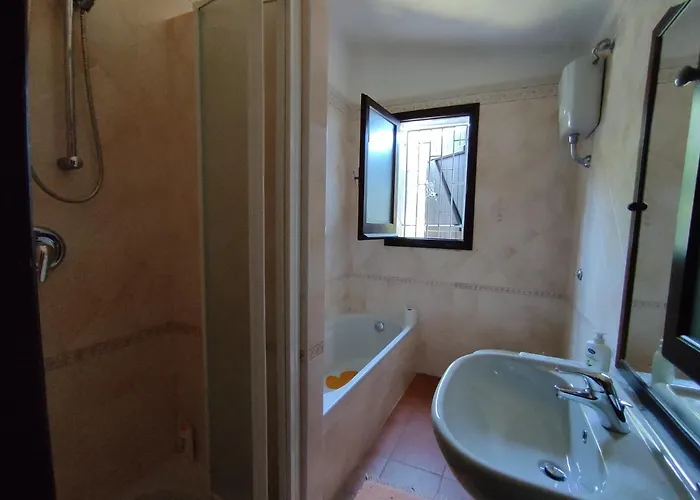 Orchidea Вилласимиус